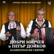 Петър Дойков